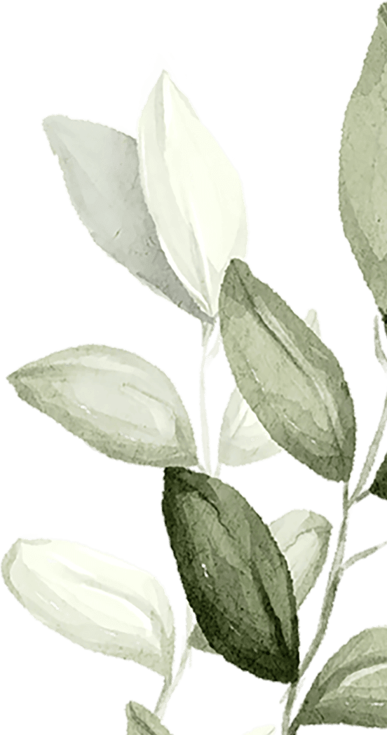 spa-background-05c@4x